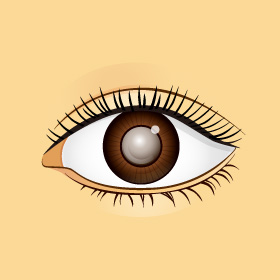 岩下眼科 目の病気について